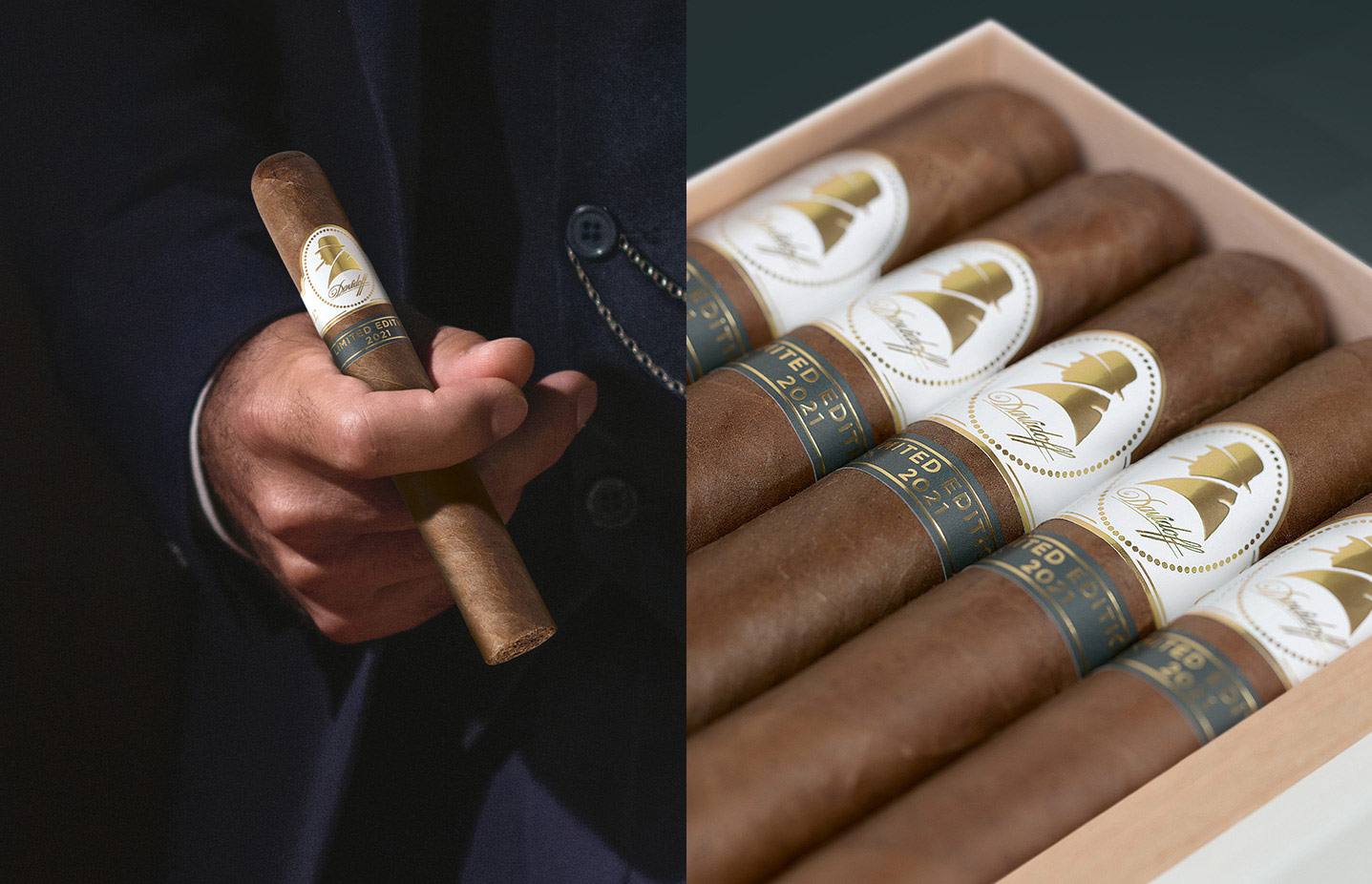 Die Davidoff Winston Churchill Zigarre 2021 Limited Edition in einer Hand