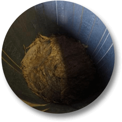 Image of a barrel inside with tobacco leafs