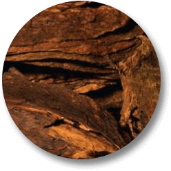 Image of tobacco leafs