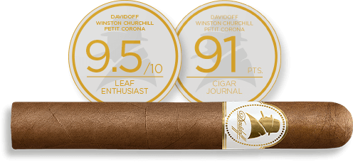 Winston Churchill Original Series Petit Corona Cigar with all the different Awards and Points